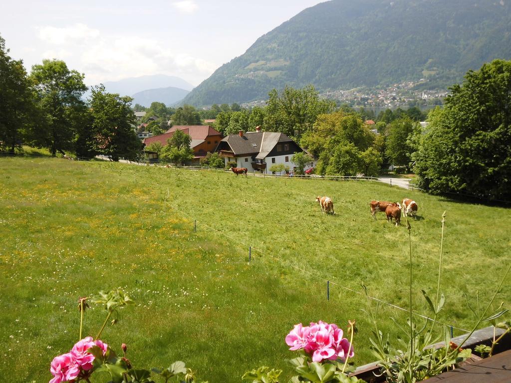 Seeblick-Appartements Ossiach Værelse billede